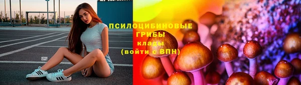 гашик Лиски