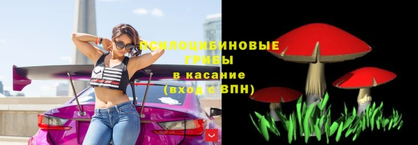 гашик Лиски
