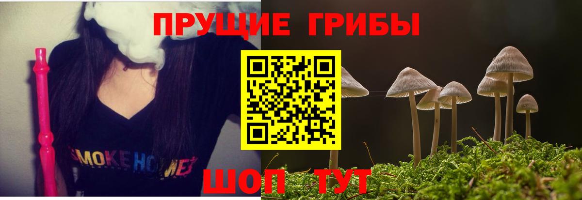 Галлюциногенные грибы Cubensis  Галлюциногенные грибы Psilocybine cubensis  Вход с VPN  Краснодар 